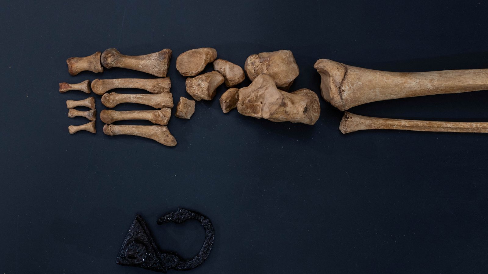 У Польщі відкопали скелет дитини, прикутий замком до могили: "щоб вампір не воскрес з мертвих". Фото