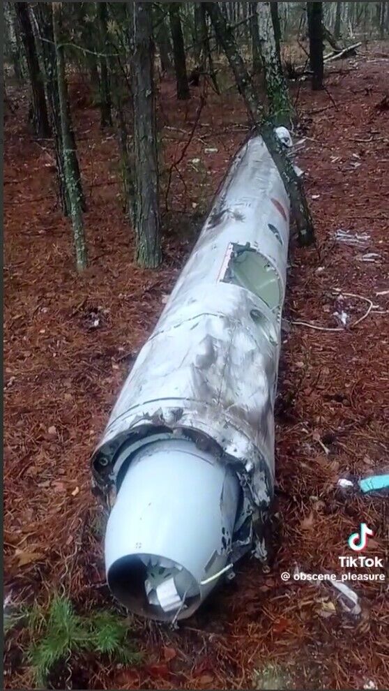 На Київщині чоловік пішов у ліс по гриби та виявив там ракету. Відео