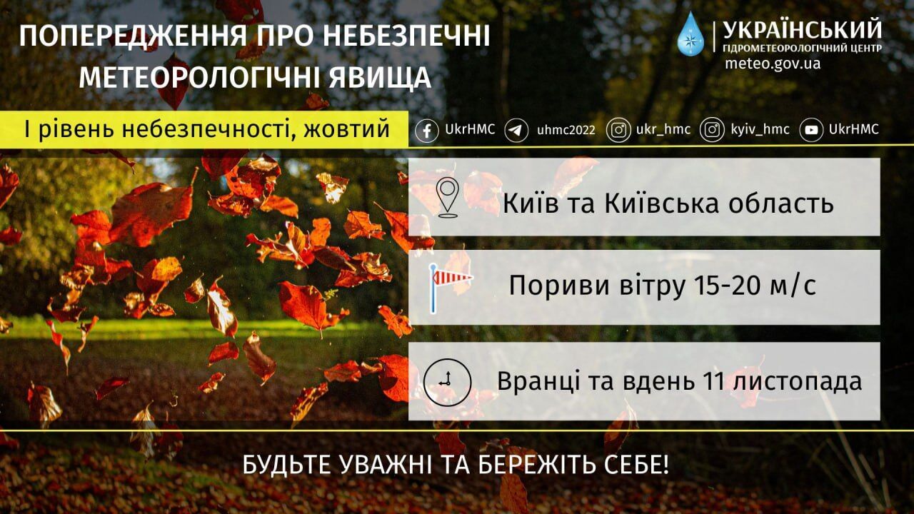 Дощ, пориви вітру та до +12°С: прогноз погоди по Київщині 11 листопада