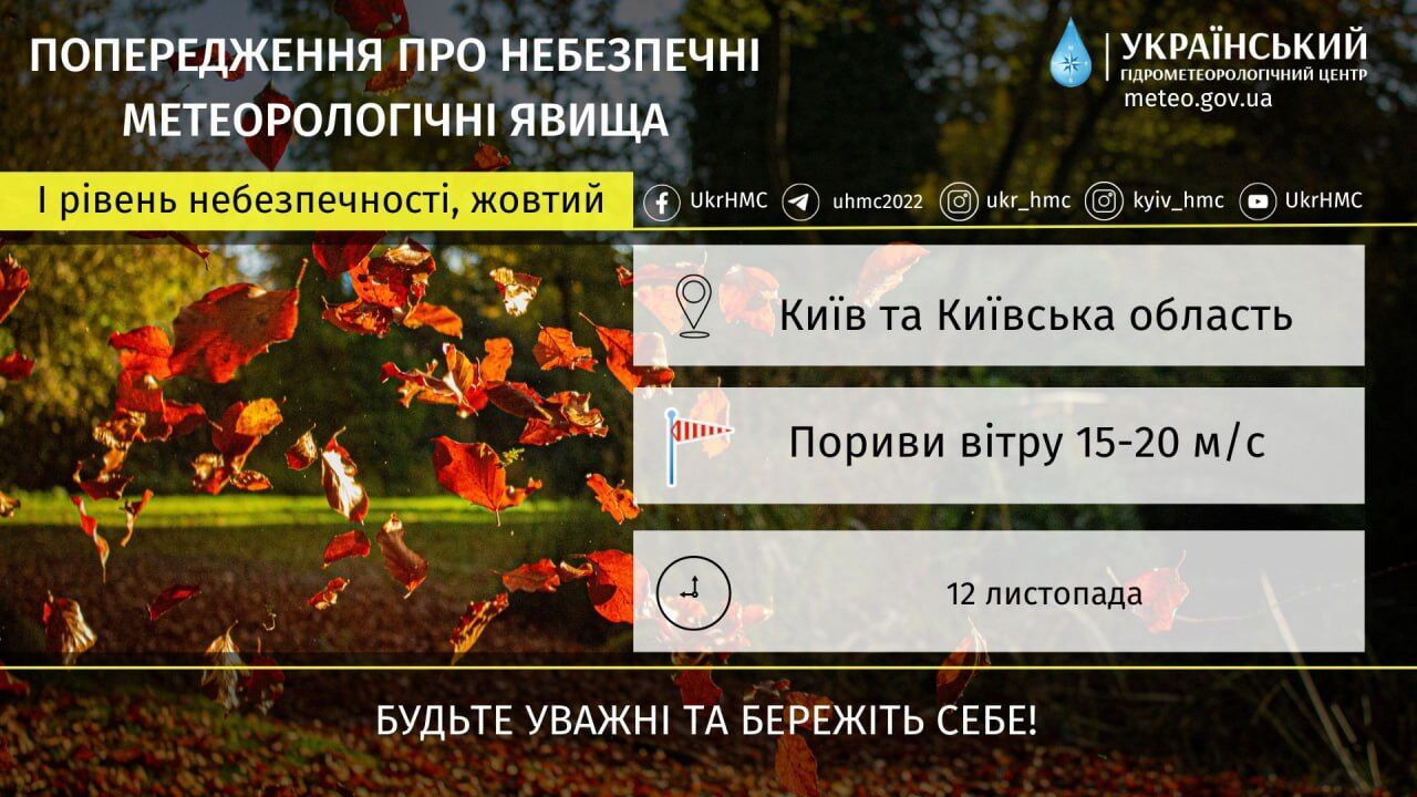 Дощ, пориви вітру та до +9°С: прогноз погоди по Київщині 12 листопада