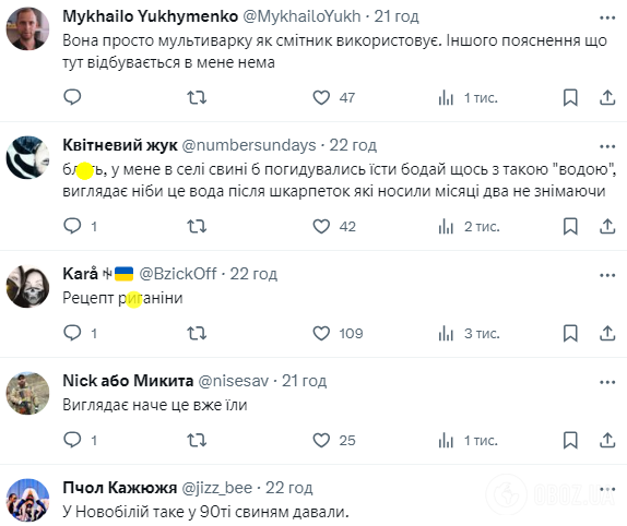 "Усе ригає": росіянка похизувалася рецептом "борща від Марго" і стала посміховиськом у мережі