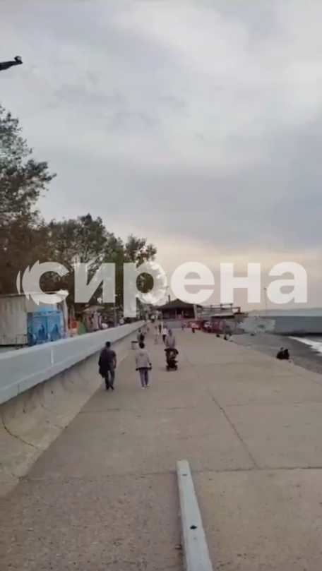 Защищают резиденцию Путина? В Сочи систему ПВО установили прямо на пляже. Видео