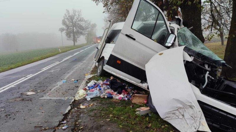 У Польщі розбився автобус з українцями: загинули дві жінки і 6-річна дитина. Фото 