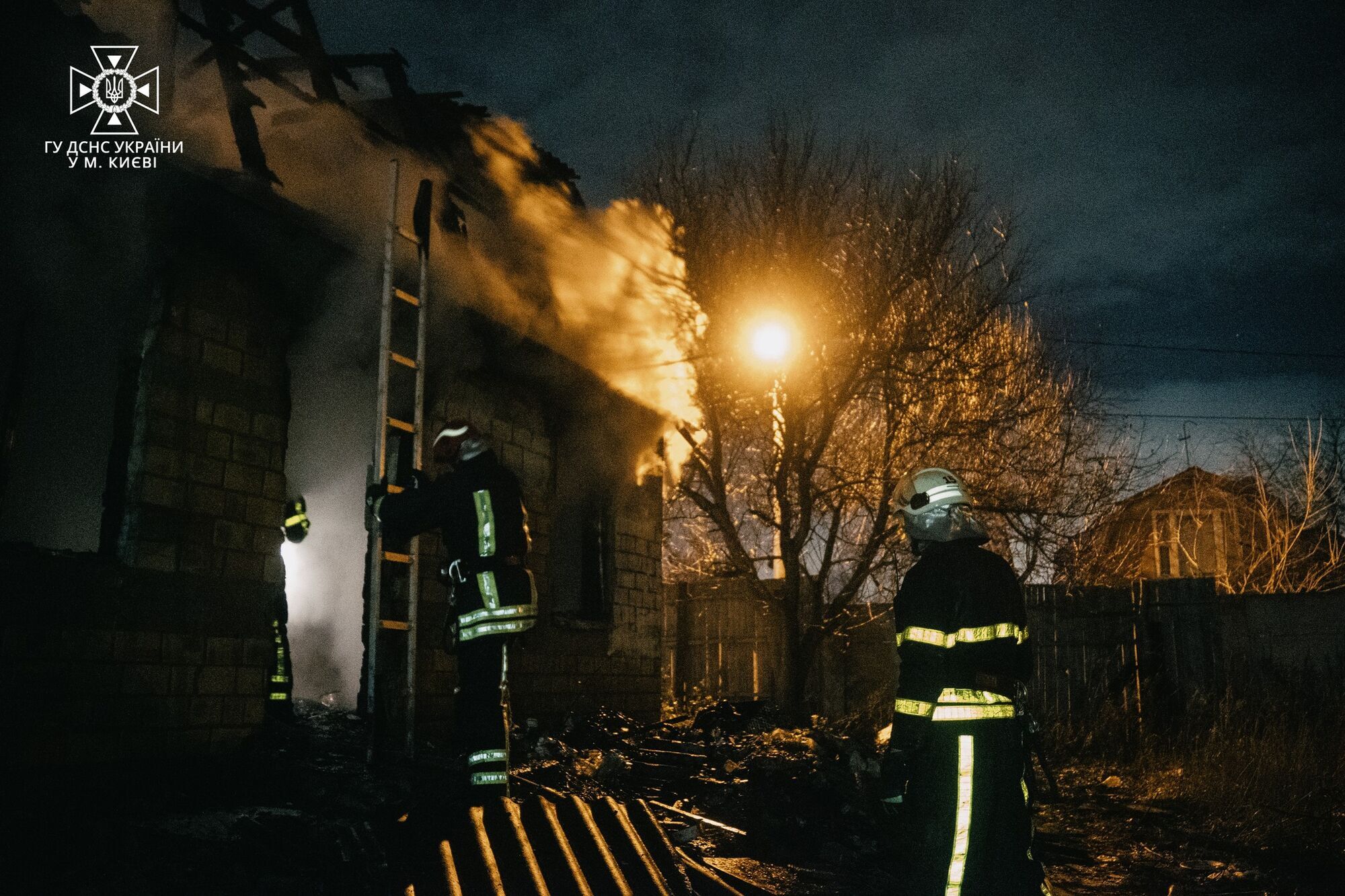 У Києві під час пожежі в будинку бійці  ДСНС врятували цуценя та кошеня. Фото і відео