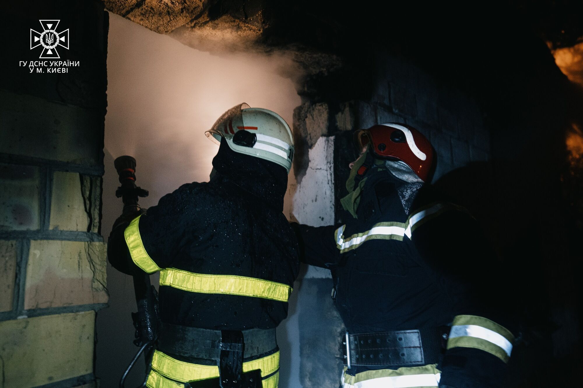 У Києві під час пожежі в будинку бійці  ДСНС врятували цуценя та кошеня. Фото і відео