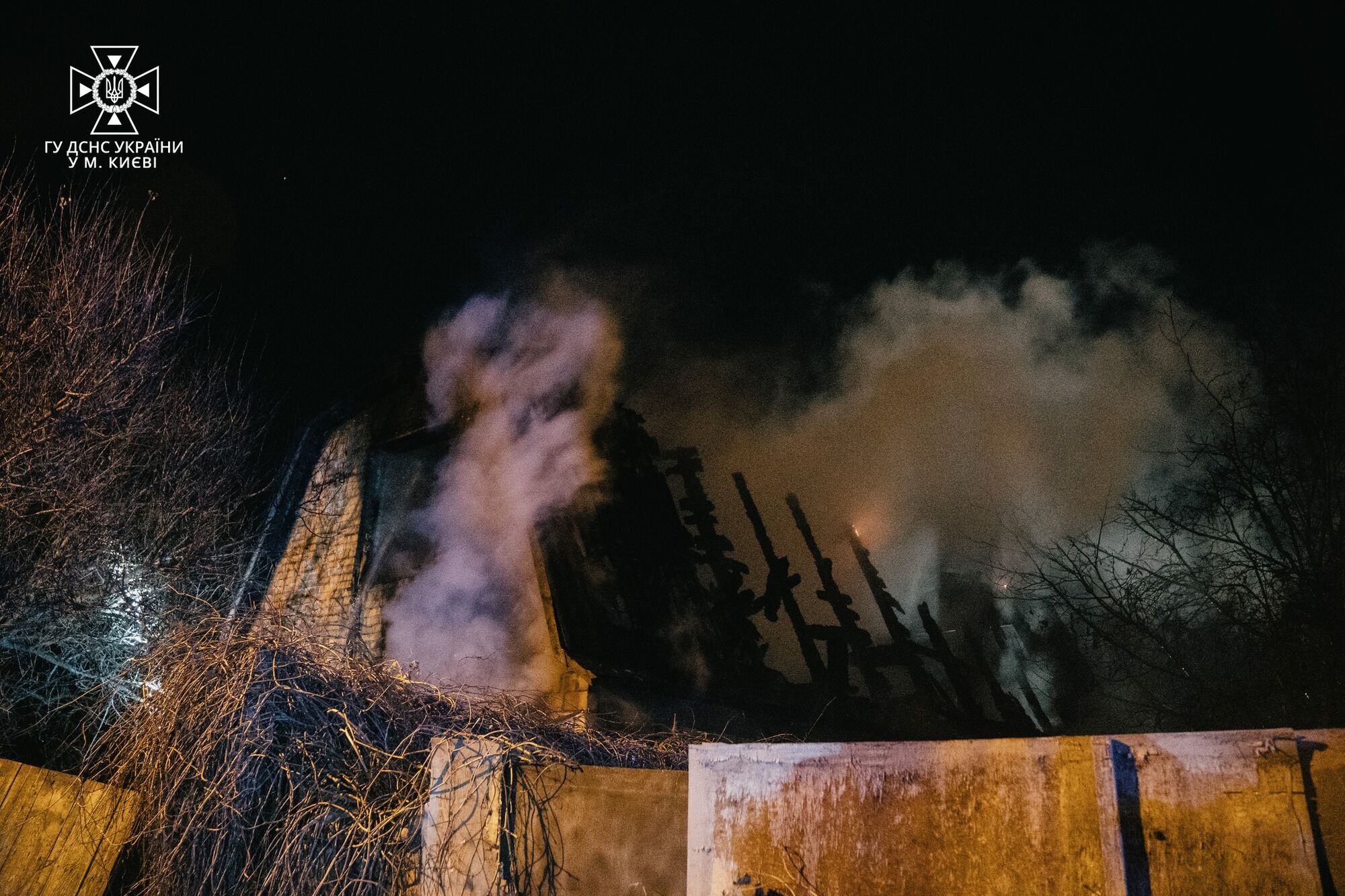 У Києві під час пожежі в будинку бійці  ДСНС врятували цуценя та кошеня. Фото і відео