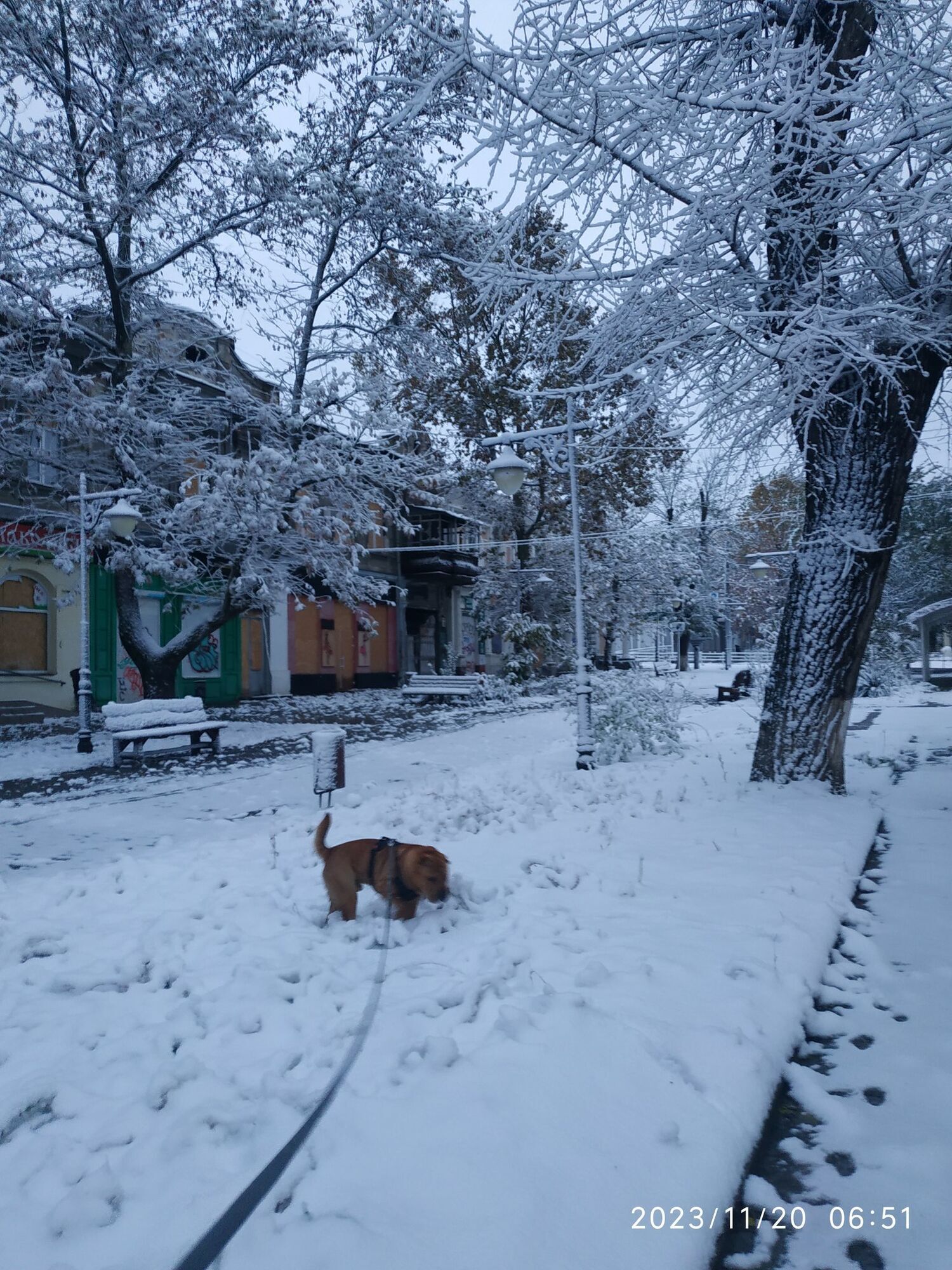 Сніг у Херсоні