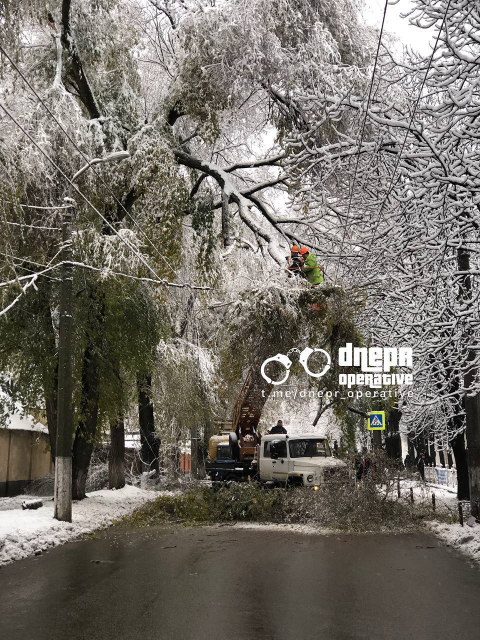 Через снігопад гілка дерева впала на дорогу.