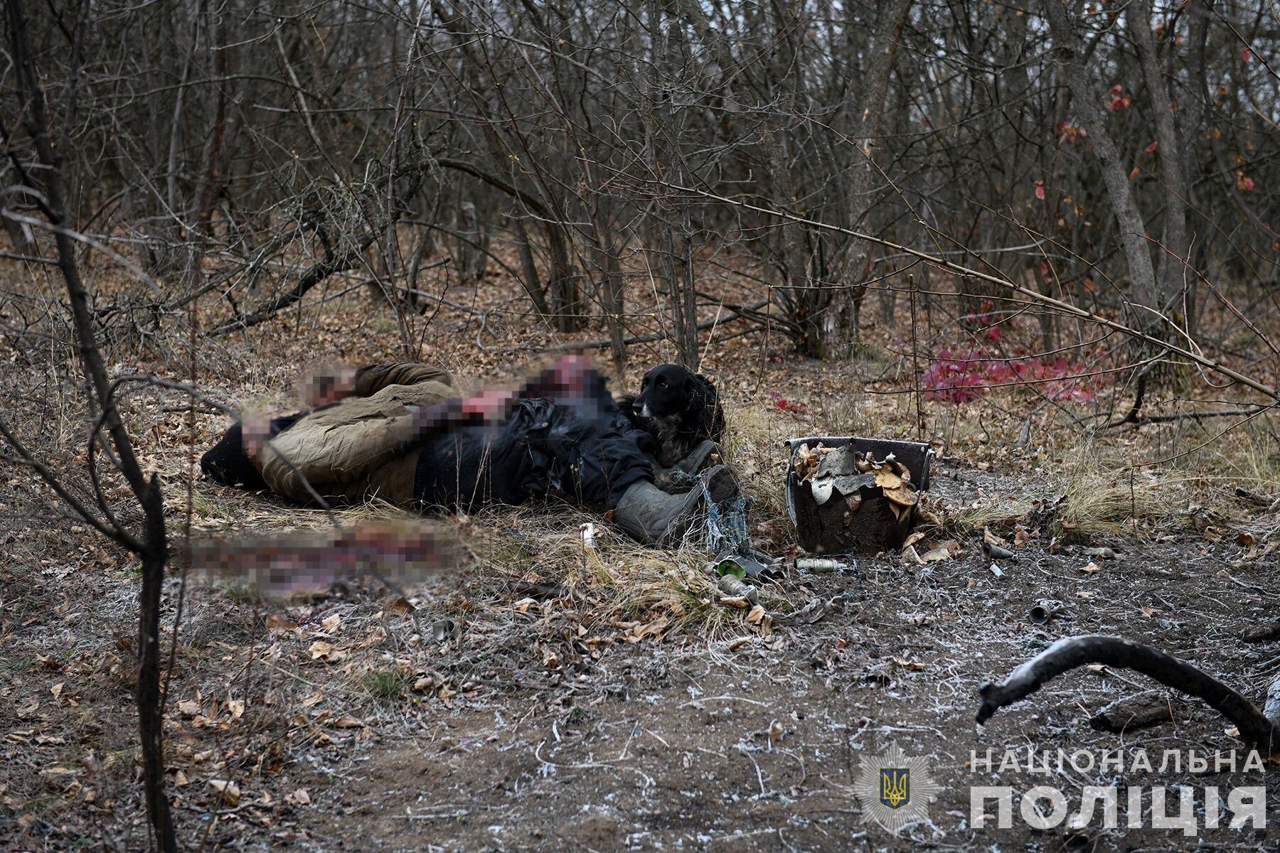 "Тихая охота" закончилась трагически: на Запорожье мужчина бросил в сумку с грибами часть снаряда и погиб от взрыва. Фото