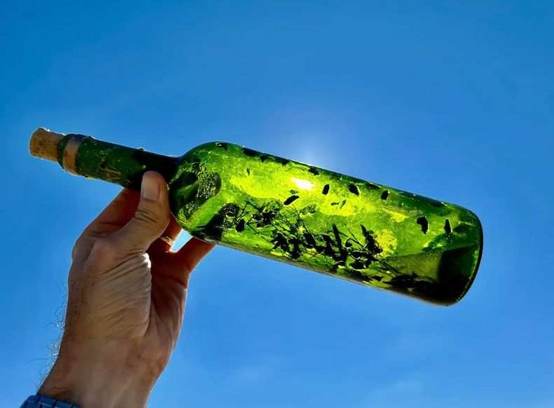 Категорично не можна відкривати: у США на берег масово вимиває "відьмині пляшки"