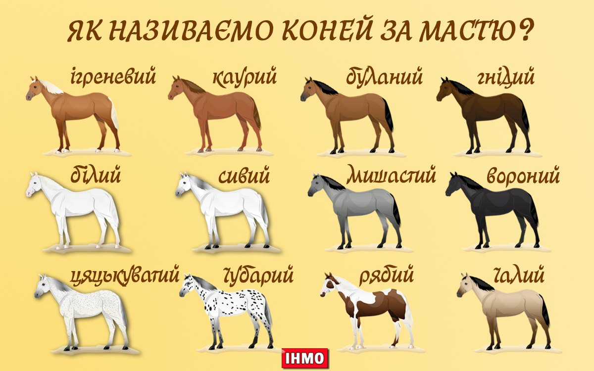 Чубарый и буланый: что означают украинские слова, описывающие лошадей