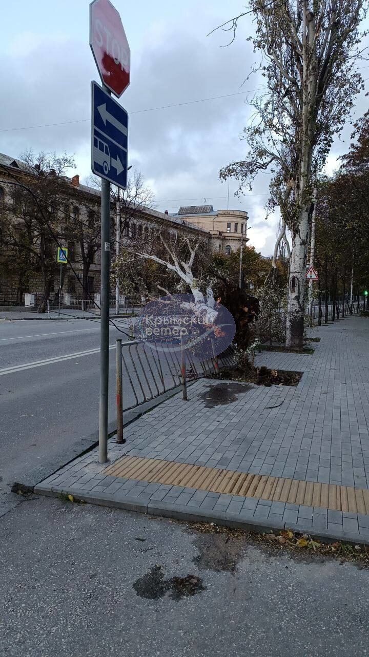 Море вийшло з берегів: в окупованому Криму вирує найбільший за 100 років шторм, хвилі змили російські окопи. Фото і відео