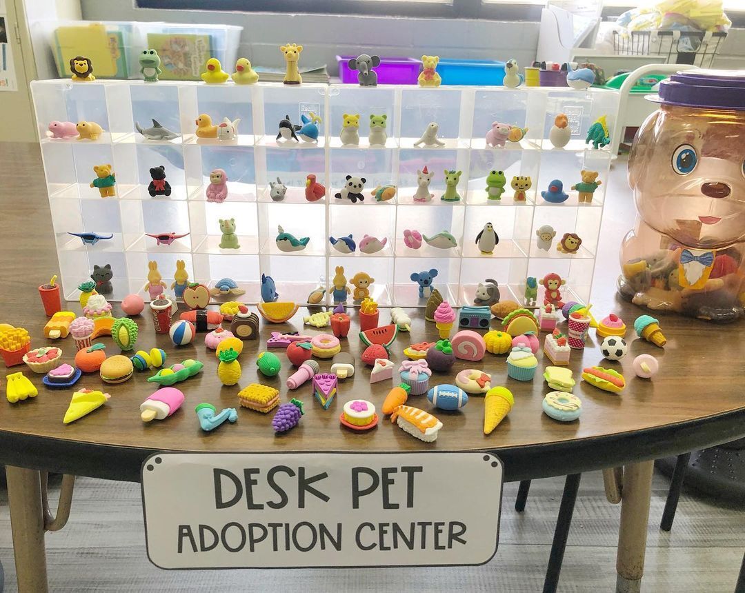 Що таке desk pets та як іграшкові тваринки покращують поведінку дітей на уроках. Досвід іноземних вчителів
