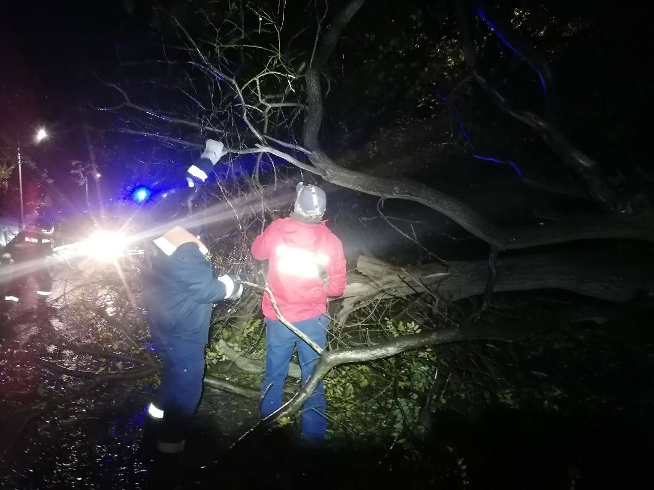 Пік шторму ще попереду: в окупованому Криму без світла залишились майже пів мільйона осіб. Фото і відео