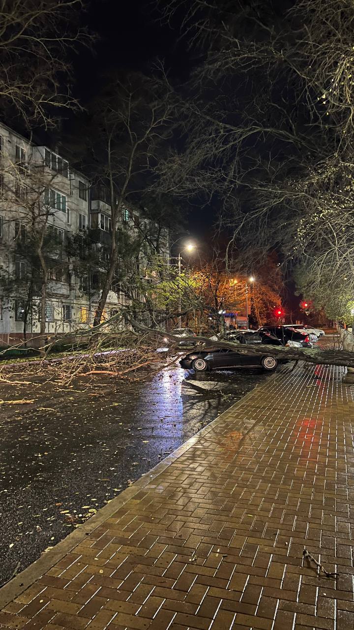 Спасатели вынуждены привлекать даже БТРы: в Украине бушует мощная непогода, движение на трассах перекрывают. Фото и видео