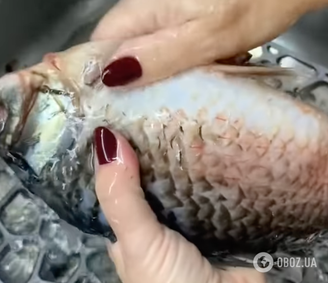Риба для приготування страв