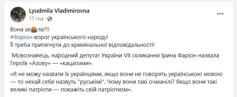 "Думал, это дно, но снизу постучали": украинцы возмутились из-за заявления Фарион, оскорбившей защитников известного полка из-за языка. Видео