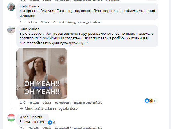 Знову незадоволені: в Угорщині відреагували на зміни до закону України про нацменшини