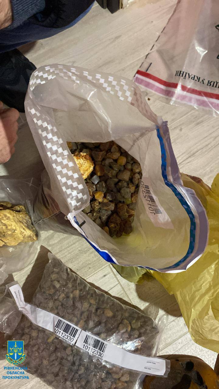 Sono stati dissotterrati illegalmente più di 100 kg: nella regione di Rivne, le forze dell&#39;ordine hanno smascherato un gruppo di cercatori di ambra. Foto 
