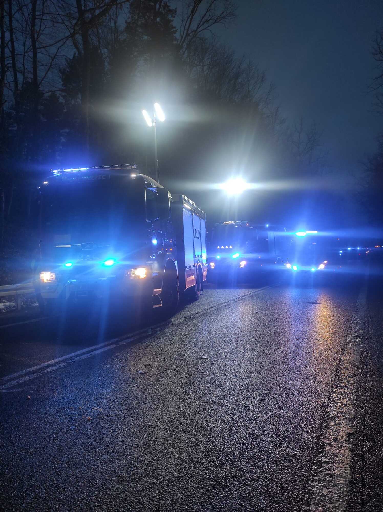 У Польщі мікроавтобус із українцями влетів у вантажівку: одна людина загинула, восьмеро постраждали
