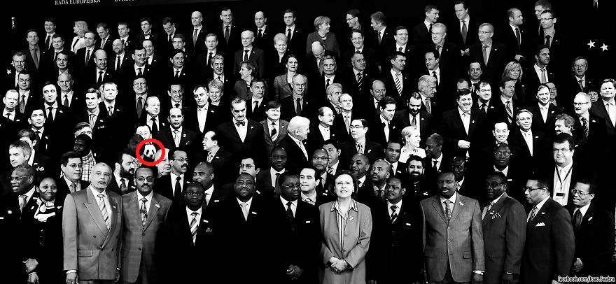 Найдите панду среди бюрократов на черно-белом фото: головоломка для внимательных