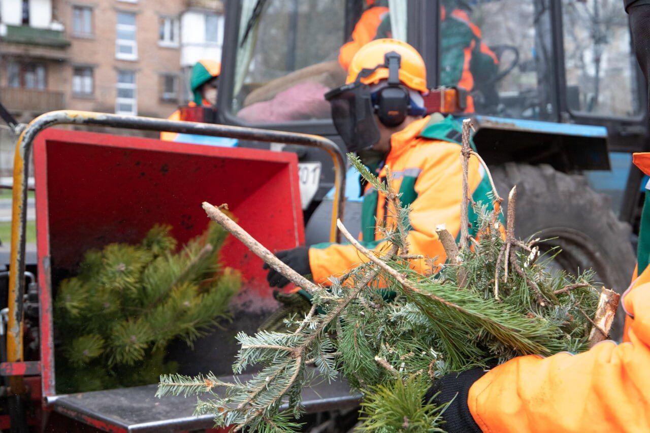 В Киеве с 4 января можно сдать елки на переработку: где откроют пункты приема
