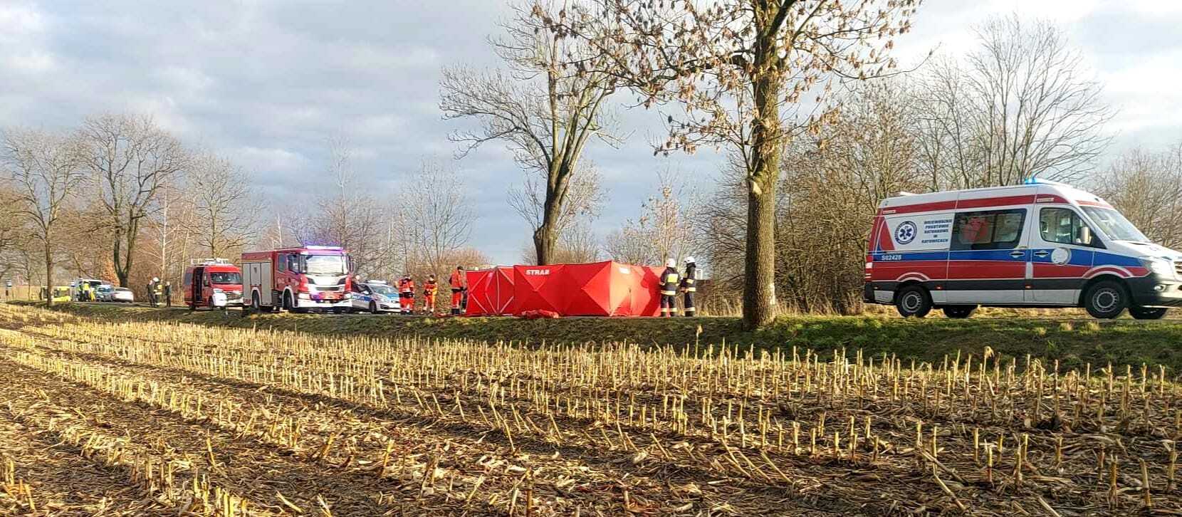 У Польщі сталася ДТП за участі двох Audi, загинули троє українців. Фото