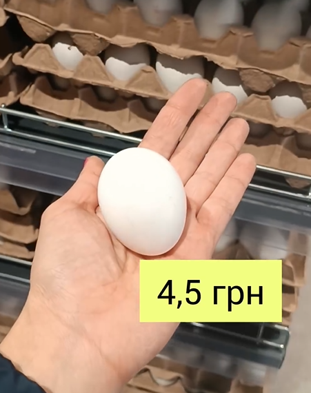 1 яйце – 4,5 грн