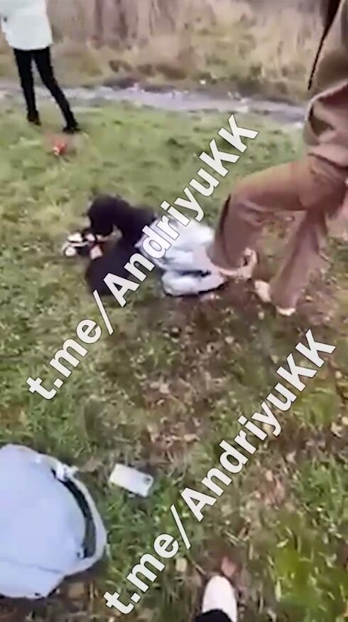 Била дівчинку ногами по голові: на Київщині конфлікт між учнями школи закінчився бійкою. Фото і відео