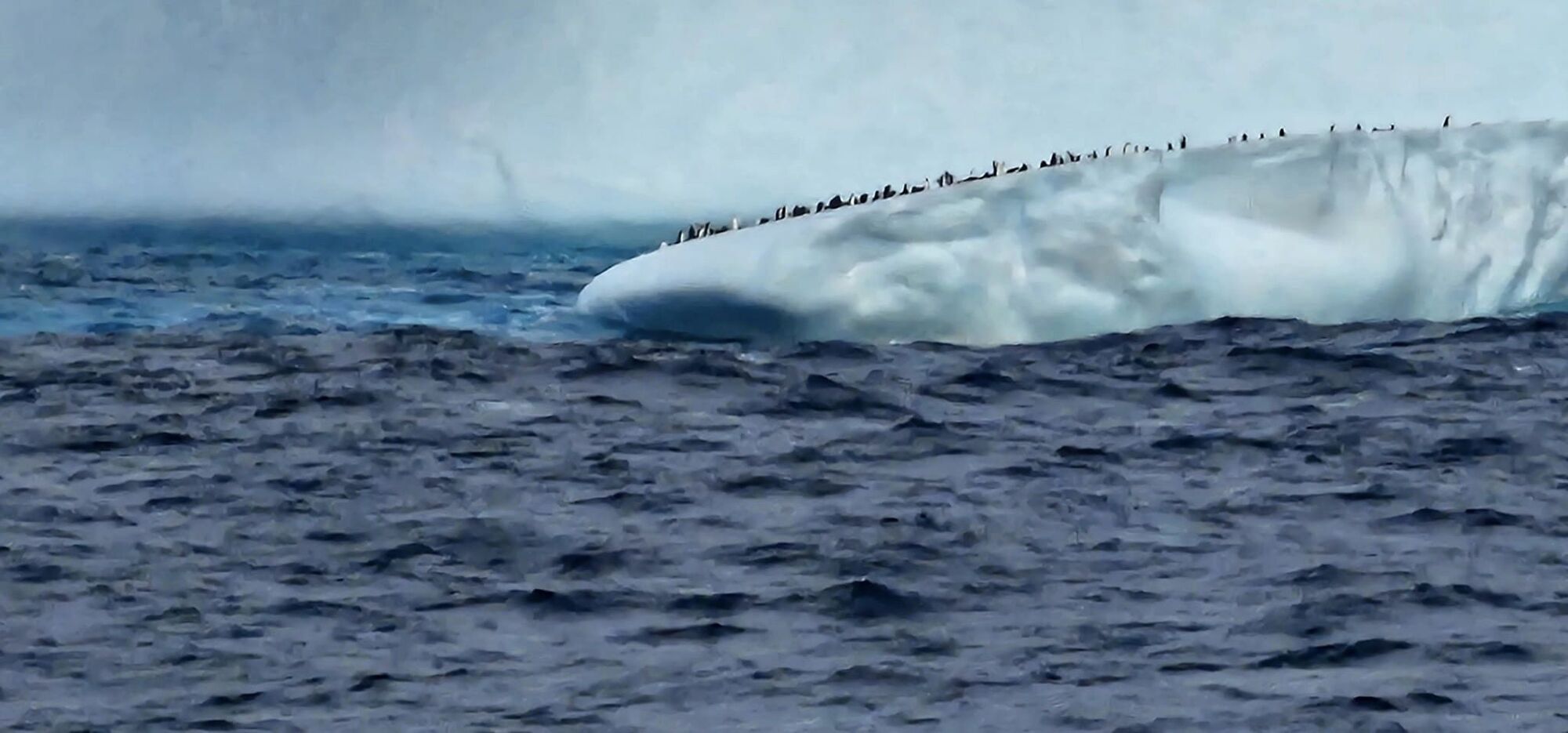 "Команду дещо здивувало": українські полярники виявили ймовірні уламки найбільшого у світі айсберга. Фото