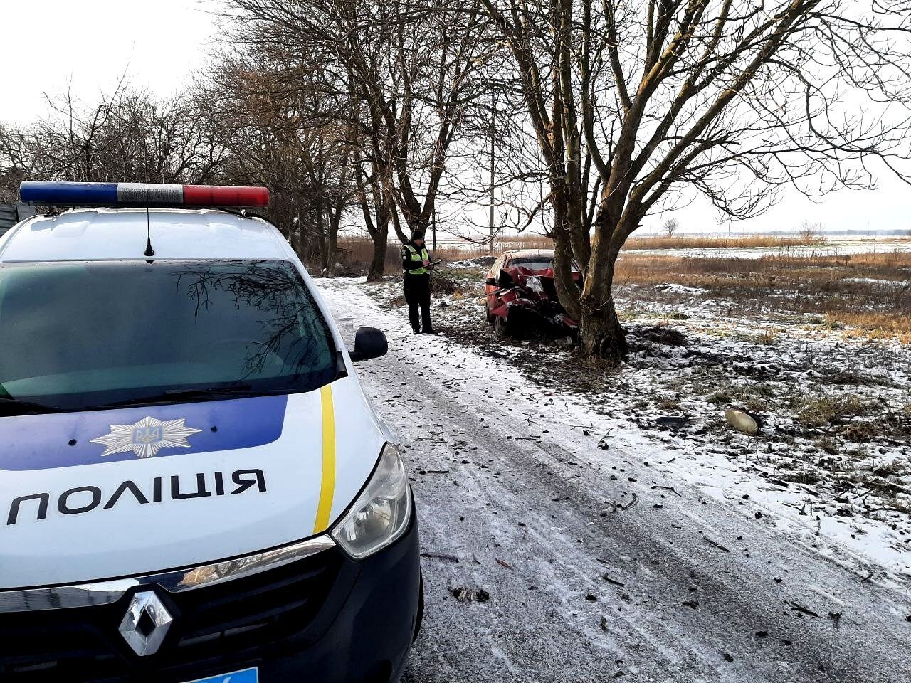 На Киевщине подросток взял у родителей без разрешения авто и протаранил на нем дерево. Фото