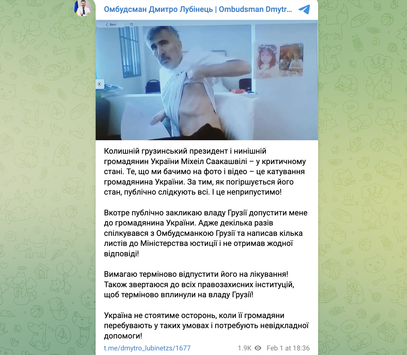 ''Це катування громадянина України'': омбудсмен Лубінець закликав владу Грузії допустити його до Саакашвілі у в’язниці