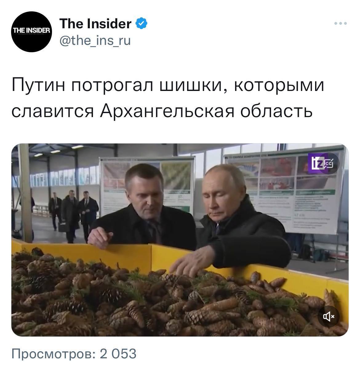 Путин в Архангельской области поиграл с шишками: журналистов, желавших рассказать о "действии", уже допросили. Фото, видео