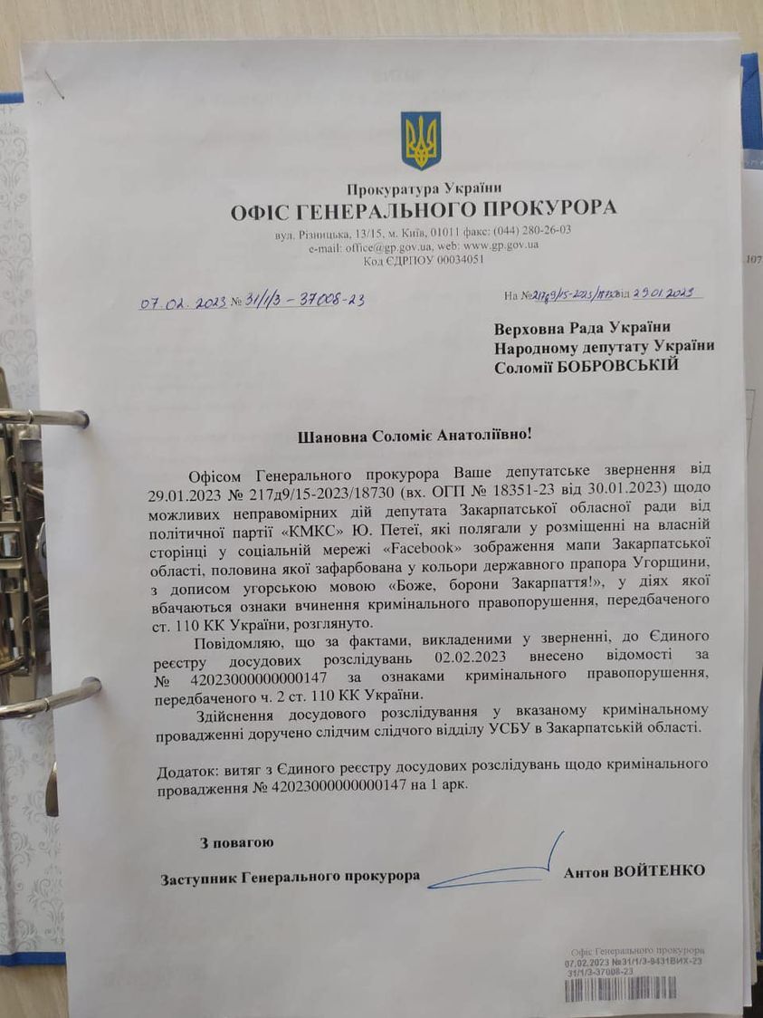"Слишком долго закрывали глаза": открыто дело против депутатки, опубликовавшей карту Закарпатья в цветах венгерского флага