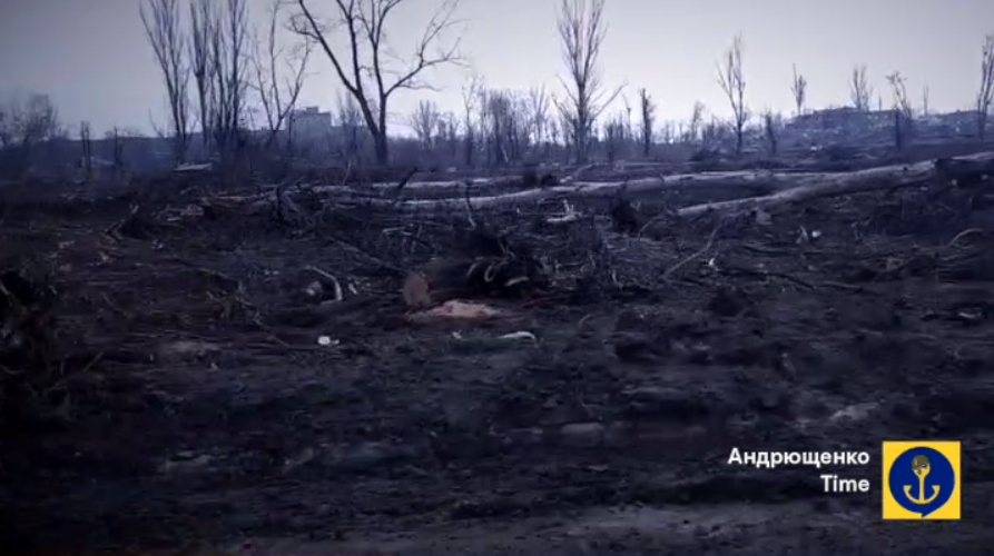 Смерть і руїна: з'явилося нове відео зі знищеного окупантами Маріуполя