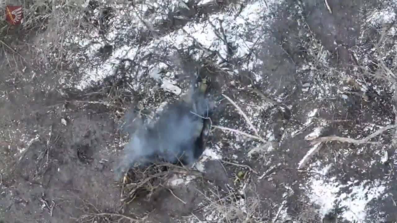 "Кара з неба": українські десантники показали, як точними ударами зривають наступальний потенціал ворога. Відео