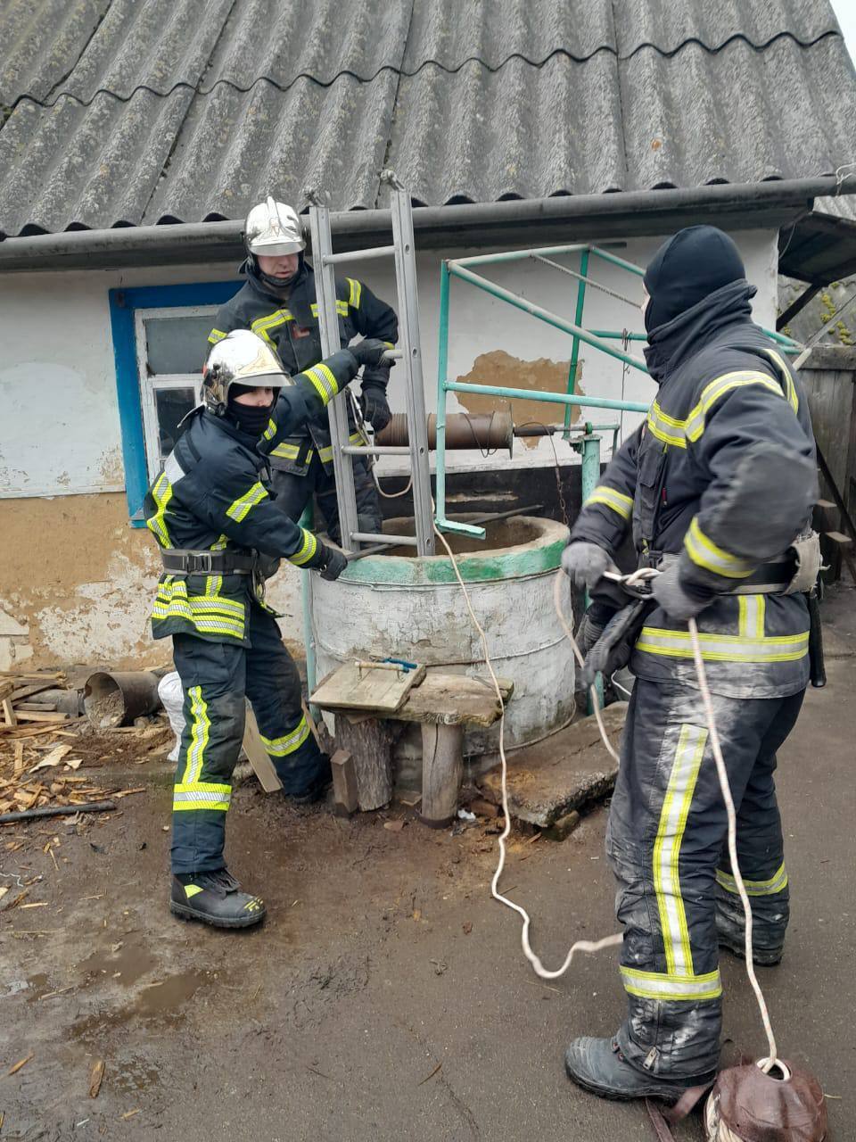 В Киевской области спасатели достали из колодца кота: четырёхлапый упал на глубину 12 метров. Фото