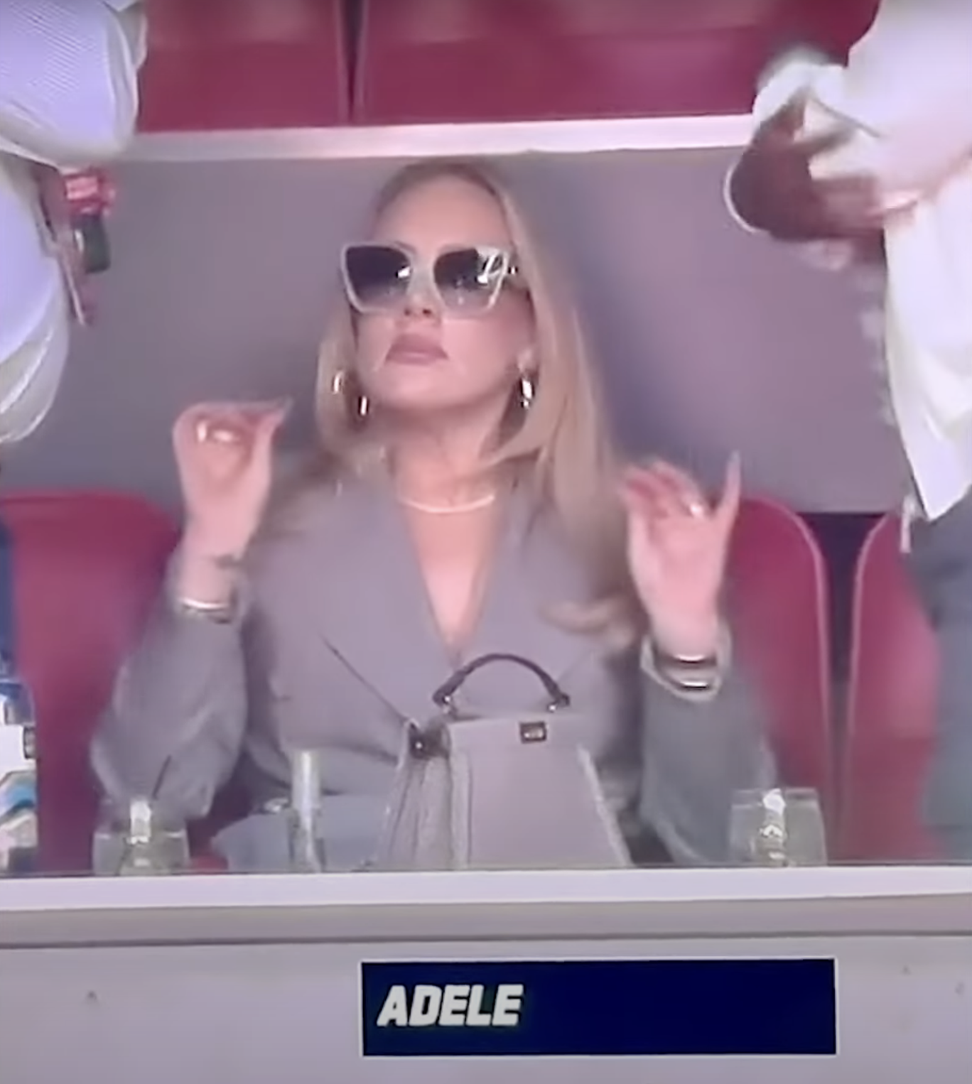 Адель стала мемом в сети после того, как экспрессивными жестами попросила VIP-артистов не мешать ей смотреть выступление Рианны