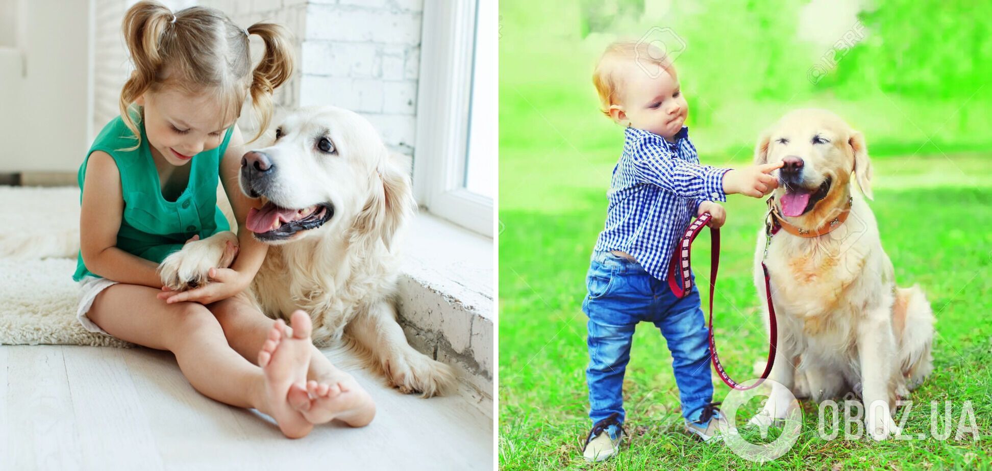 Які породи собак найкраще ладнають з дітьми: грайливі і ласкаві