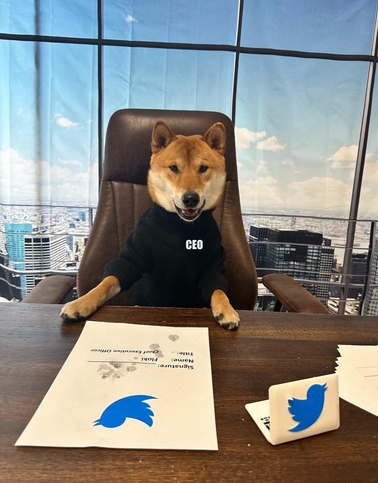 "Новий гендиректор": Ілон Маск віддав своєму собаці місце керівника Twitter. Фото