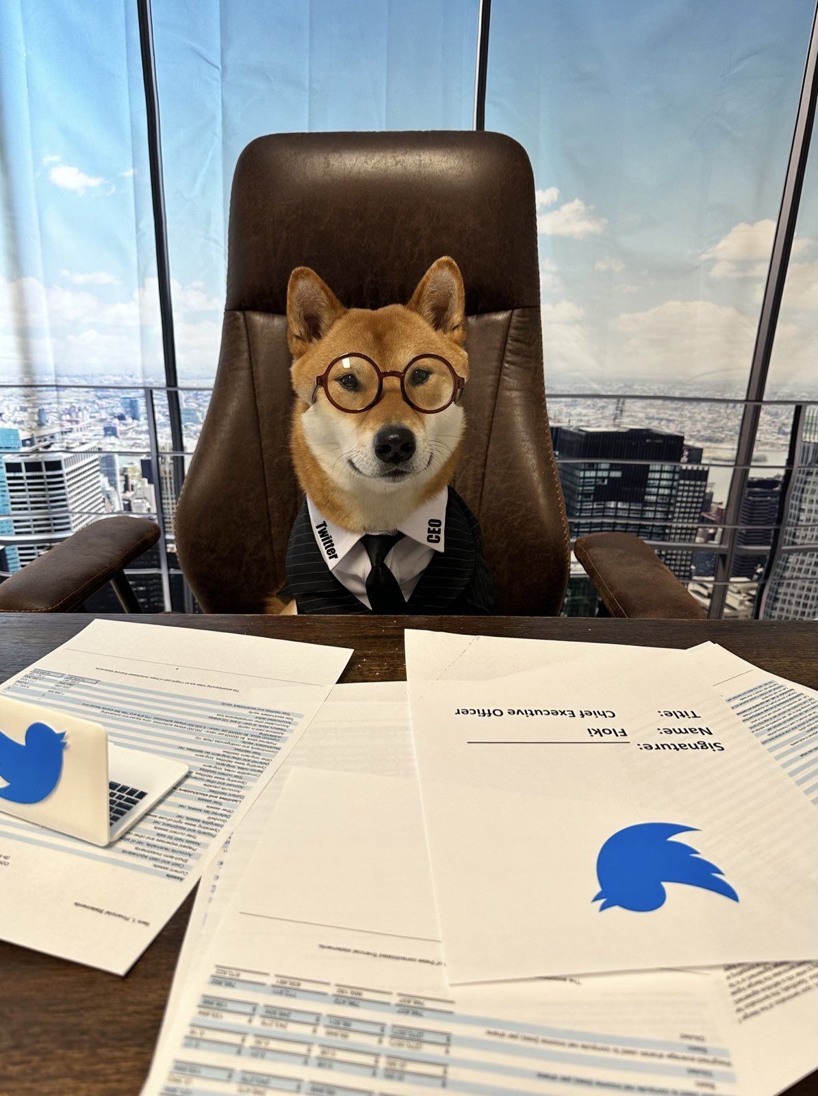 "Новый гендиректор": Илон Маск отдал своей собаке место руководителя Twitter. Фото