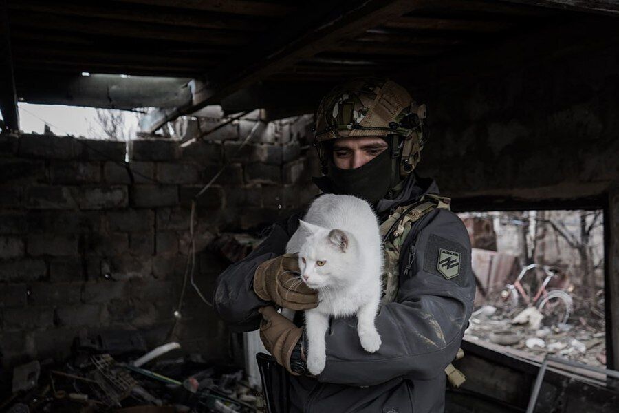 В сети показали "пушистый батальон НГУ": трогательные фото