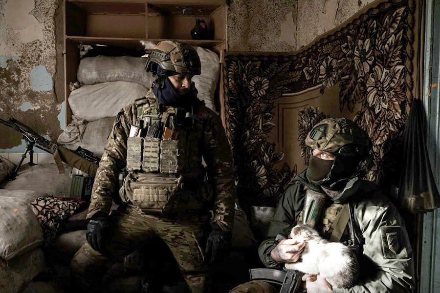 В сети показали "пушистый батальон НГУ": трогательные фото