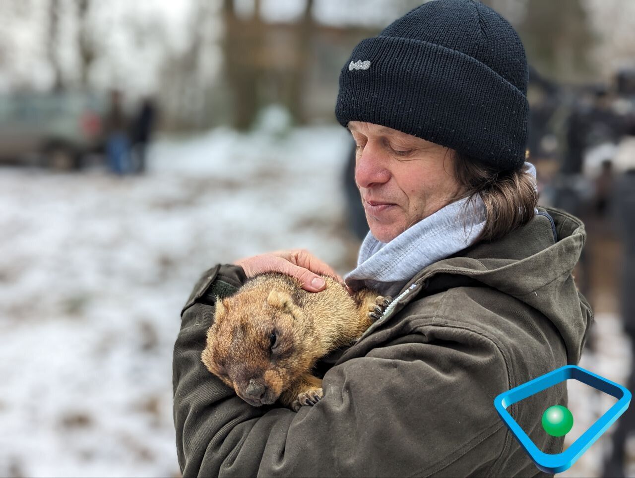 2 лютого бабака Тимка розбудили