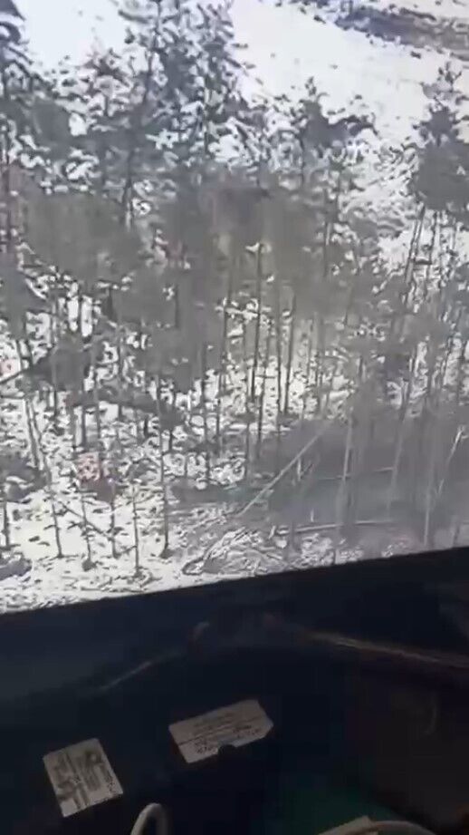 "Получилось пламя на миллион": оккупанты на Луганщине пытались прорваться ротой танков, но получили мощный отпор от ВСУ. Видео