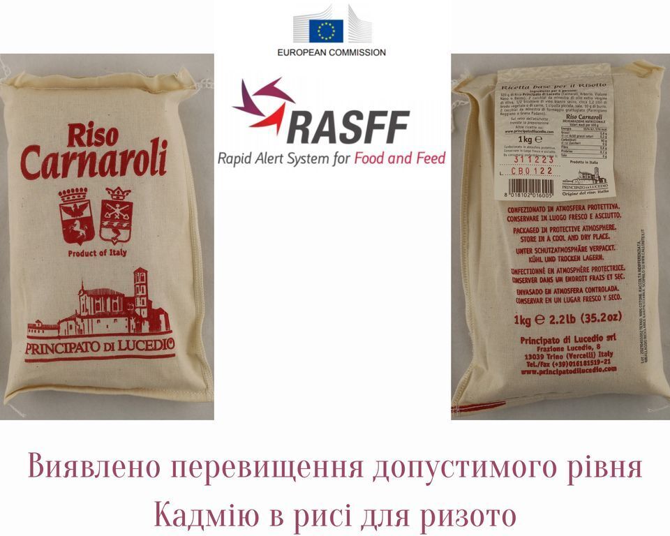 Як виглядає небезпечний рис, який потрапив в Україну