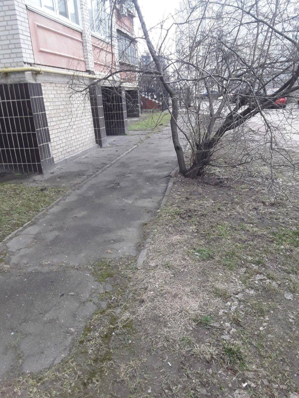 У Борисполі нелюд викинув з 4-го поверху собаку і погрожував розправитися з іншою: тварину врятувати не вдалося. Фото і відео