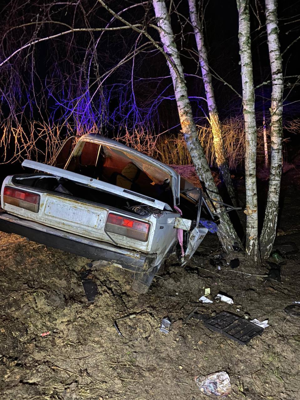 На Київщині легковик з’їхав у кювет та протаранив дерево: загинув неповнолітній. Фото