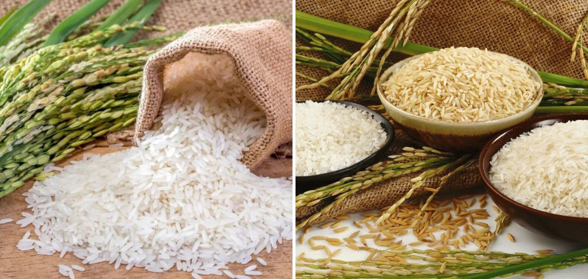 Як смачно приготувати рис