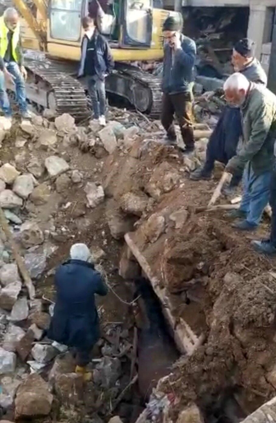 Настоящее чудо: в Турции на 20-й день после землетрясения из-под завалов вытащили живого коня. Видео
